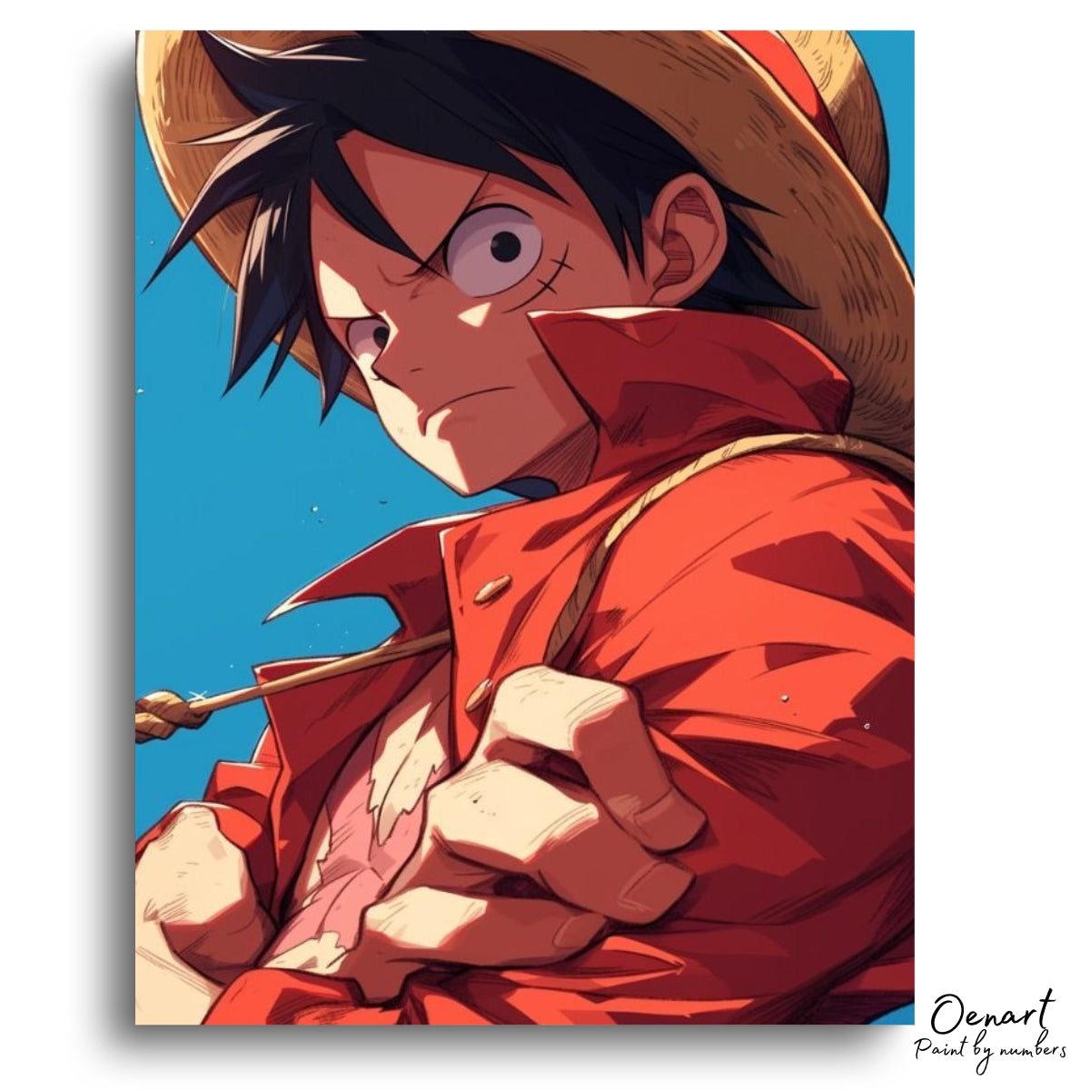 One Piece: This Look - Anime Diamond Painting