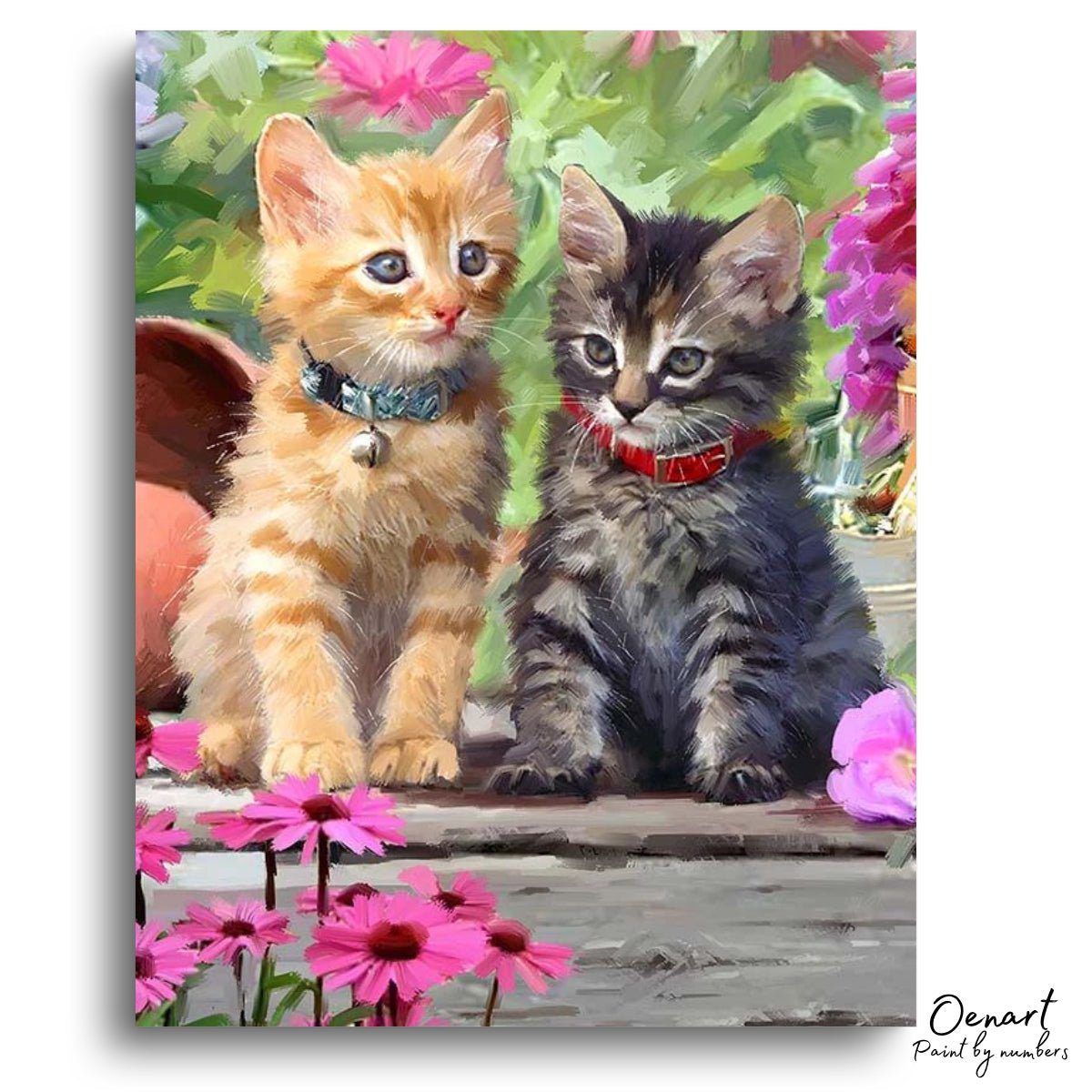Cats Photo - Diamond Painting Kit - Oenart™