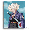 Dragon Ball Z: Future Trunks Super Saiyan – Anime Paint By Numbers Kit